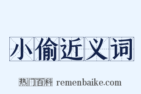 小偷近义词是什么意思的图片